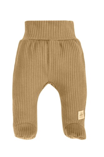 polspiochy camel.jpeg